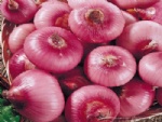 Exp.:Red Onion