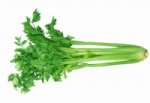 Exp.:Fresh Celery