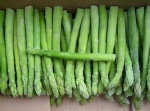 Exp.:Asparagus