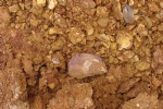 Imp.:Nickel ore